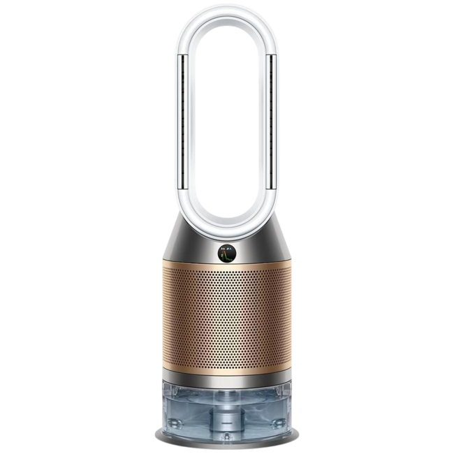 Dyson